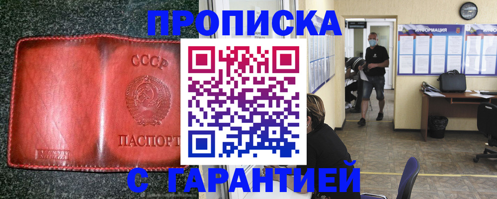 прописка гарантия в Новгородской области